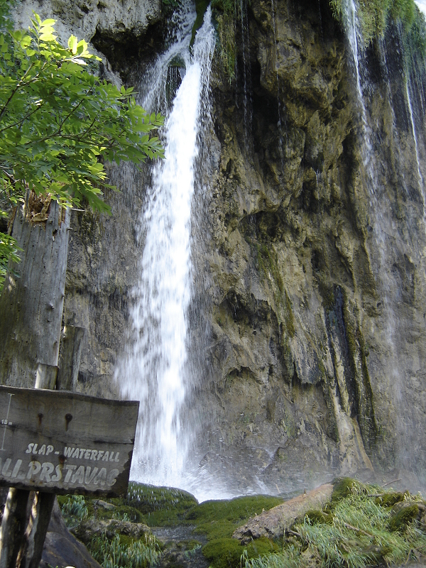 DSC00893