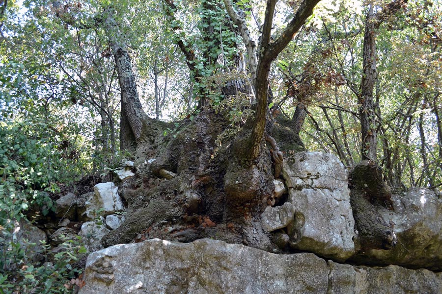 dinopark-funtana-18