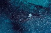 premantura-12