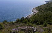 premantura-20