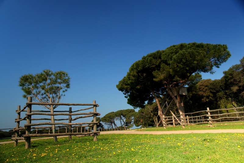 nationalpark-brijuni-09