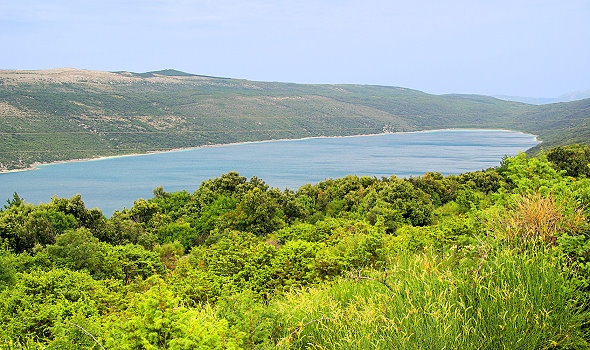 Vrana-See