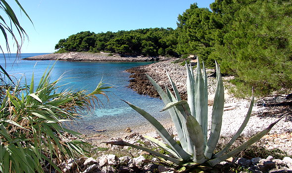 Losinj_02